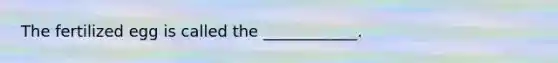 The fertilized egg is called the ____________.