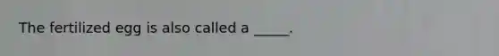 The fertilized egg is also called a _____.