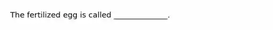 The fertilized egg is called ______________.