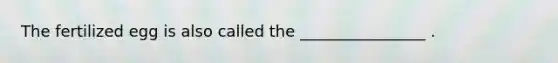 The fertilized egg is also called the ________________ .