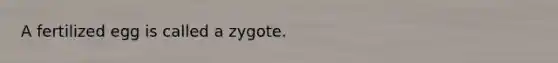 A fertilized egg is called a zygote.