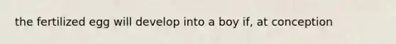 the fertilized egg will develop into a boy if, at conception
