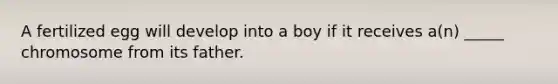 A fertilized egg will develop into a boy if it receives a(n) _____ chromosome from its father.