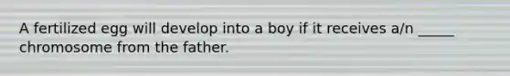 A fertilized egg will develop into a boy if it receives a/n _____ chromosome from the father.