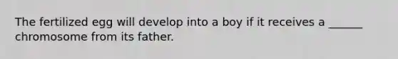 The fertilized egg will develop into a boy if it receives a ______ chromosome from its father.