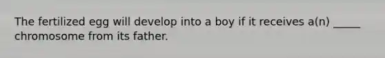 The fertilized egg will develop into a boy if it receives a(n) _____ chromosome from its father.