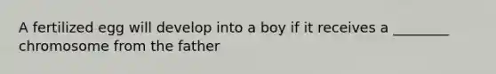 A fertilized egg will develop into a boy if it receives a ________ chromosome from the father