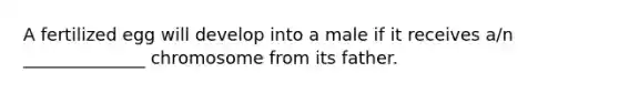 A fertilized egg will develop into a male if it receives a/n ______________ chromosome from its father.