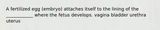 A fertilized egg (embryo) attaches itself to the lining of the ____________ where the fetus develops. vagina bladder urethra uterus
