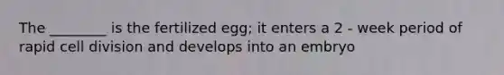 The ________ is the fertilized egg; it enters a 2 - week period of rapid cell division and develops into an embryo