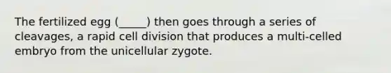 The fertilized egg (_____) then goes through a series of cleavages, a rapid <a href='https://www.questionai.com/knowledge/kjHVAH8Me4-cell-division' class='anchor-knowledge'>cell division</a> that produces a multi-celled embryo from the unicellular zygote.