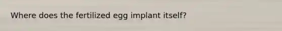 Where does the fertilized egg implant itself?