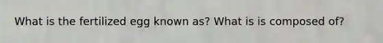 What is the fertilized egg known as? What is is composed of?