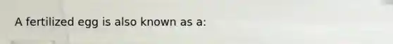 A fertilized egg is also known as a: