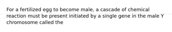 For a fertilized egg to become male, a cascade of chemical reaction must be present initiated by a single gene in the male Y chromosome called the