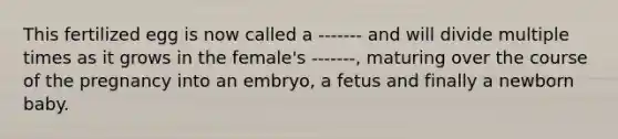 This fertilized egg is now called a ------- and will divide multiple times as it grows in the female's -------, maturing over the course of the pregnancy into an embryo, a fetus and finally a newborn baby.