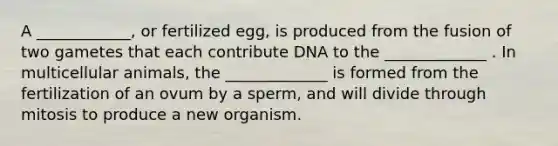 A ____________, or fertilized egg, is produced from the fusion of two gametes that each contribute DNA to the _____________ . In multicellular animals, the _____________ is formed from the fertilization of an ovum by a sperm, and will divide through mitosis to produce a new organism.