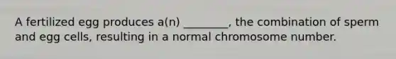 A fertilized egg produces a(n) ________, the combination of sperm and egg cells, resulting in a normal chromosome number.