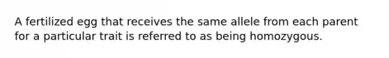 A fertilized egg that receives the same allele from each parent for a particular trait is referred to as being homozygous.