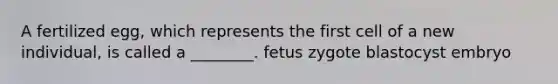 A fertilized egg, which represents the first cell of a new individual, is called a ________. fetus zygote blastocyst embryo