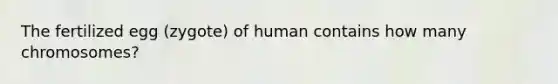 The fertilized egg (zygote) of human contains how many chromosomes?