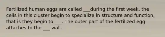 Fertilized human eggs are called ___during the first week, the cells in this cluster begin to specialize in structure and function, that is they begin to ___. The outer part of the fertilized egg attaches to the ___ wall.