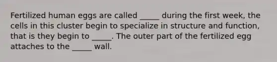 Fertilized human eggs are called _____ during the first week, the cells in this cluster begin to specialize in structure and function, that is they begin to _____. The outer part of the fertilized egg attaches to the _____ wall.