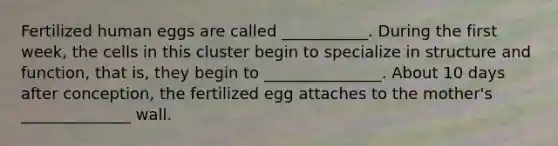 Fertilized human eggs are called ___________. During the first week, the cells in this cluster begin to specialize in structure and function, that is, they begin to _______________. About 10 days after conception, the fertilized egg attaches to the mother's ______________ wall.