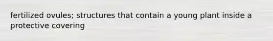 fertilized ovules; structures that contain a young plant inside a protective covering