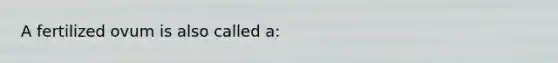 A fertilized ovum is also called a: