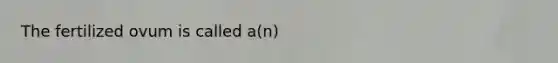 The fertilized ovum is called a(n)