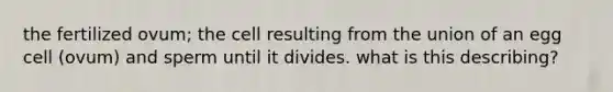 the fertilized ovum; the cell resulting from the union of an egg cell (ovum) and sperm until it divides. what is this describing?