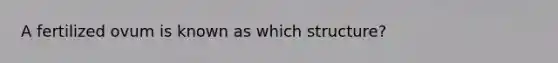 A fertilized ovum is known as which structure?