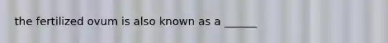 the fertilized ovum is also known as a ______