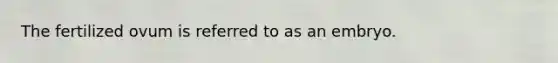 The fertilized ovum is referred to as an embryo.
