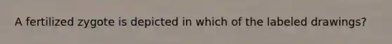 A fertilized zygote is depicted in which of the labeled drawings?