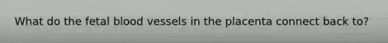 What do the fetal blood vessels in the placenta connect back to?