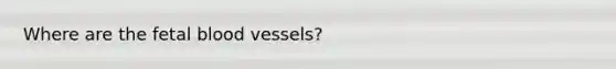 Where are the fetal blood vessels?