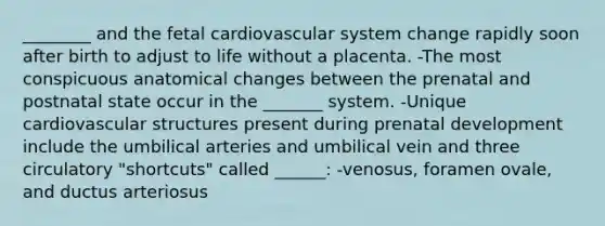 ________ and the fetal cardiovascular system change rapidly soon after birth to adjust to life without a placenta. -The most conspicuous anatomical changes between the prenatal and postnatal state occur in the _______ system. -Unique cardiovascular structures present during prenatal development include the umbilical arteries and umbilical vein and three circulatory "shortcuts" called ______: -venosus, foramen ovale, and ductus arteriosus