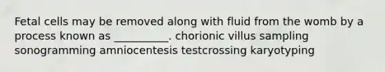 Fetal cells may be removed along with fluid from the womb by a process known as __________. chorionic villus sampling sonogramming amniocentesis testcrossing karyotyping