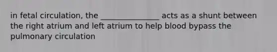 in fetal circulation, the _______________ acts as a shunt between the right atrium and left atrium to help blood bypass the pulmonary circulation