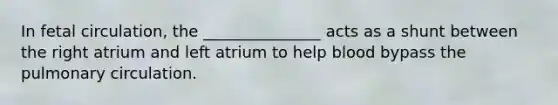 In fetal circulation, the _______________ acts as a shunt between the right atrium and left atrium to help blood bypass the pulmonary circulation.
