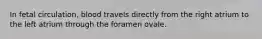 In fetal circulation, blood travels directly from the right atrium to the left atrium through the foramen ovale.