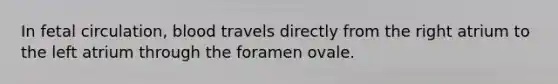 In fetal circulation, blood travels directly from the right atrium to the left atrium through the foramen ovale.