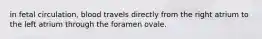 in fetal circulation, blood travels directly from the right atrium to the left atrium through the foramen ovale.