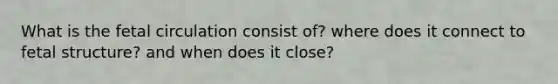 What is the fetal circulation consist of? where does it connect to fetal structure? and when does it close?