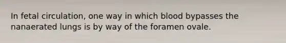 In fetal circulation, one way in which blood bypasses the nanaerated lungs is by way of the foramen ovale.