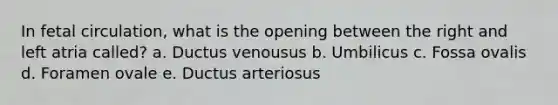 In fetal circulation, what is the opening between the right and left atria called? a. Ductus venousus b. Umbilicus c. Fossa ovalis d. Foramen ovale e. Ductus arteriosus