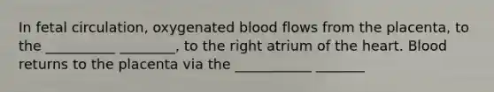 In fetal circulation, oxygenated blood flows from the placenta, to the __________ ________, to the right atrium of the heart. Blood returns to the placenta via the ___________ _______