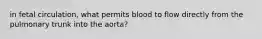 in fetal circulation, what permits blood to flow directly from the pulmonary trunk into the aorta?